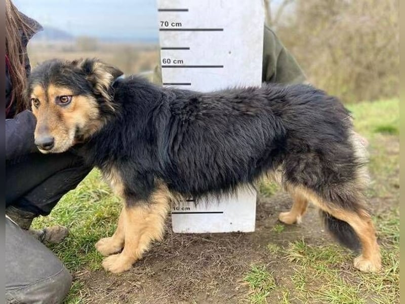 ELZA sucht ihre Familie