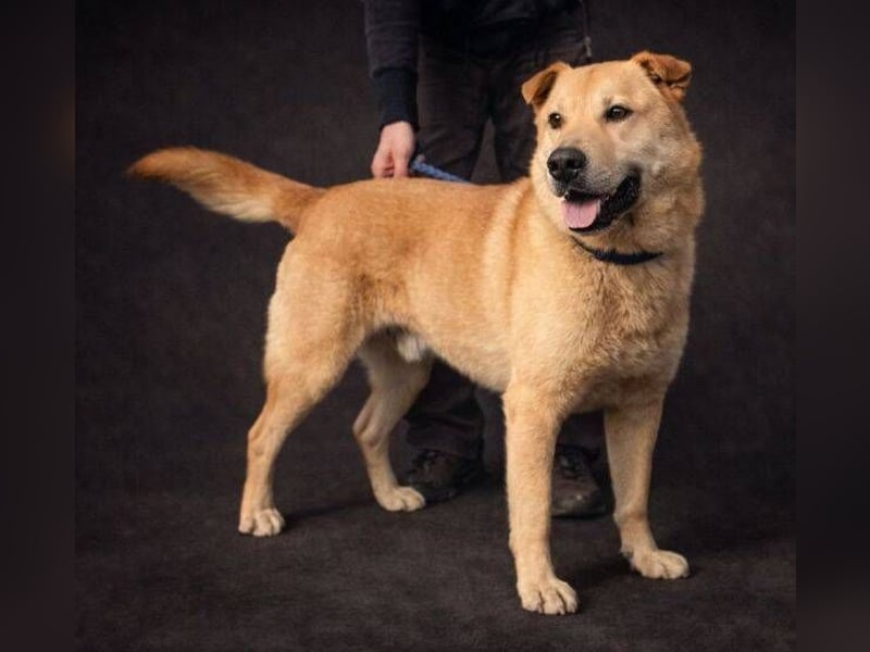 AKIM wartet auf Dich