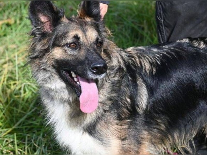 BABORKA hätte so gerne eine eigene Familie