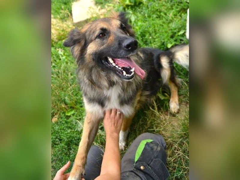 BABORKA hätte so gerne eine eigene Familie