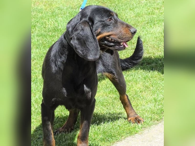 LENA sucht ihre Familie