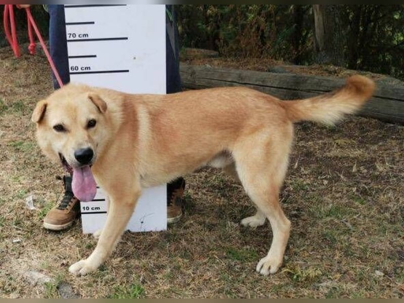 AKIM wartet auf Dich AKIM wartet auf Dich