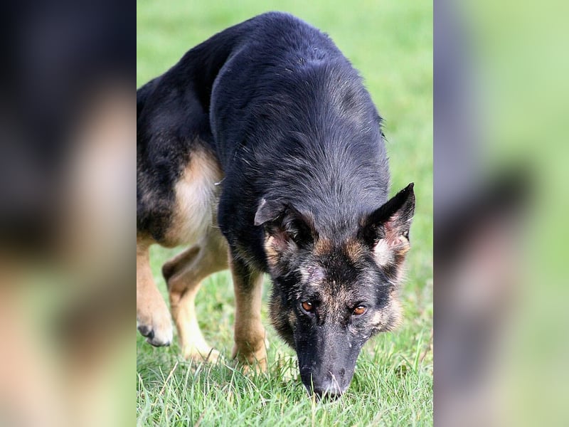 Donna, schön und sehr lieb