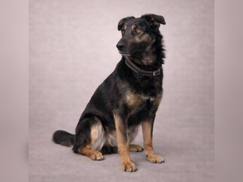 LUNA 2 wäre so gerne Familienmitglied