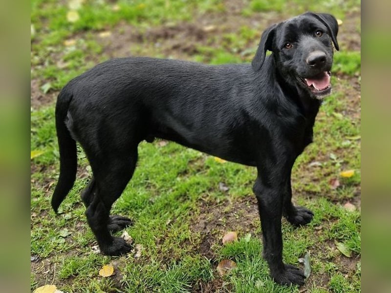 OTTO 2 sucht seine Menschen