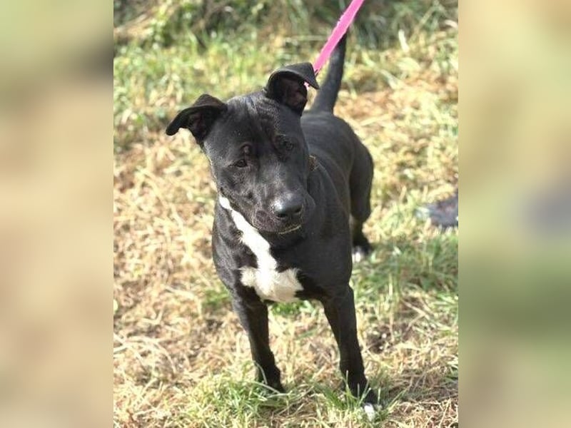 SUNNY sucht seine Menschen