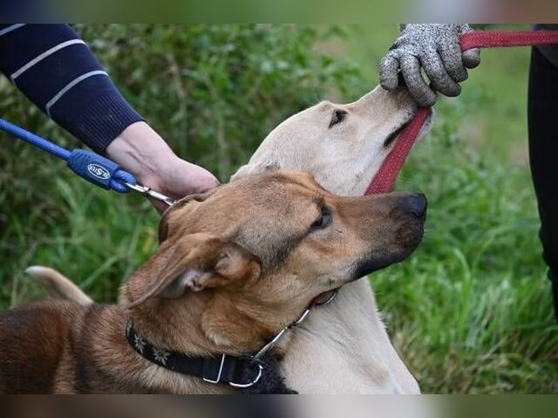 DONATELLO elegant und super freundlich