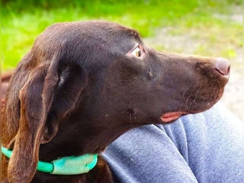 OTTO