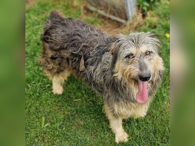 MAYA ist einfach zauberhaft