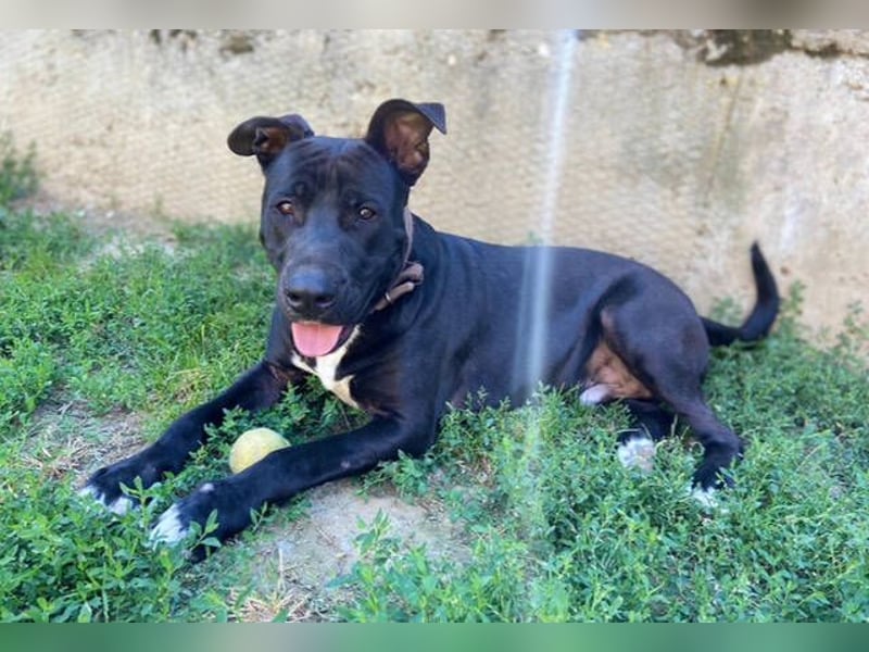 SUNNY sucht seine Menschen