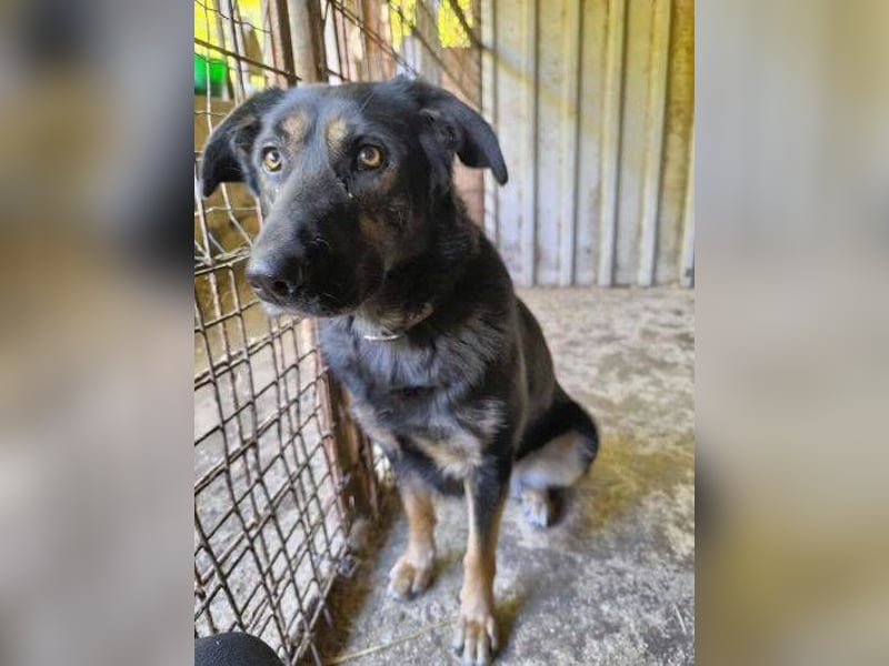 LUNA 2 wäre so gerne Familienmitglied
