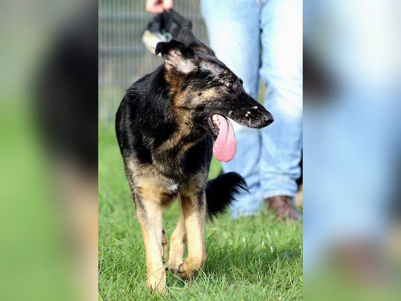 Donna, schön und sehr lieb