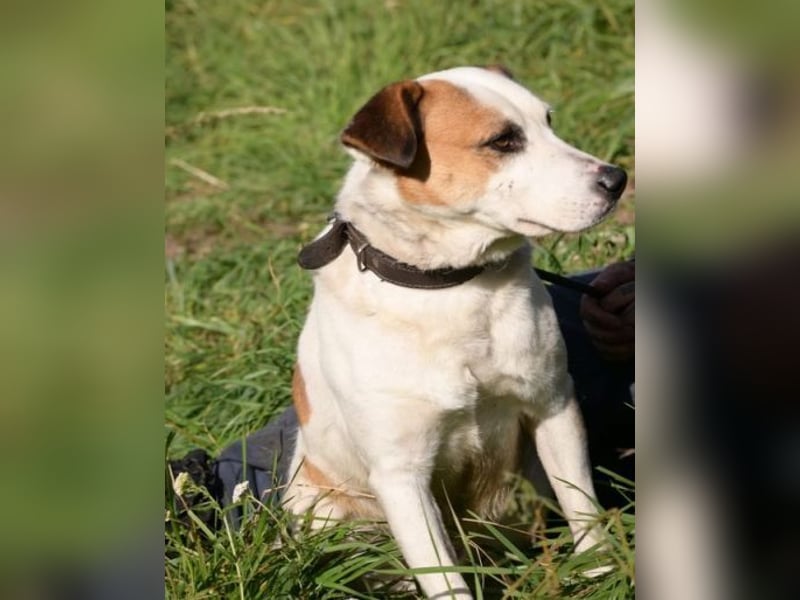 COUDY wartet schon lange auf ein Zuhause