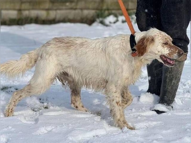 MARK  bildschön, und zu allen sehr lieb