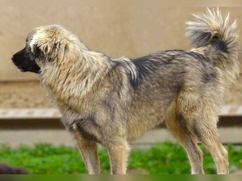 EMMA ist wunderschön