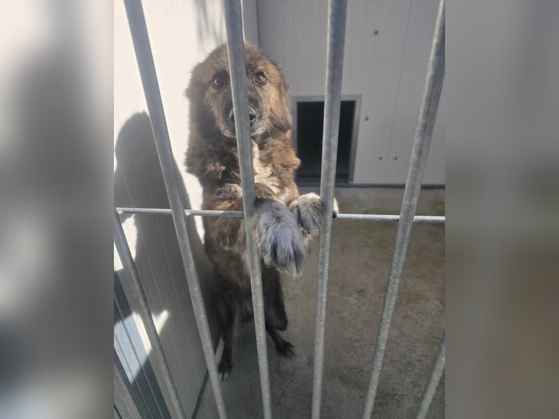 LOBITO muss jeden Tag um sein Leben zittern