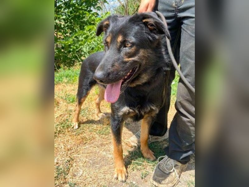 LUNA 2 wäre so gerne Familienmitglied