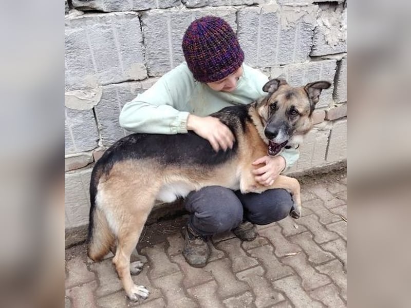 VILLY ist einfach nur lieb