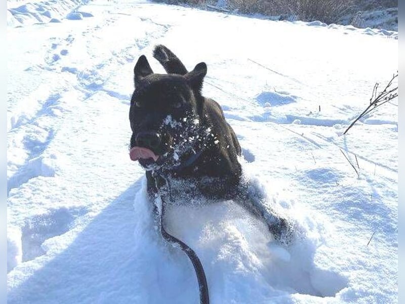 DANTE liebt Menschen