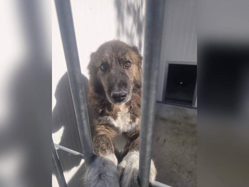 LOBITO muss jeden Tag um sein Leben zittern