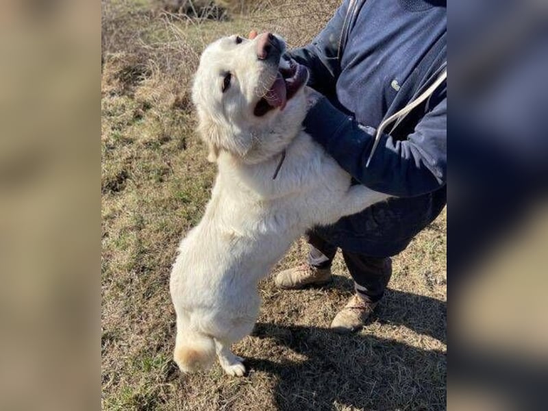 LUCY freut sich über jede Zuwendung