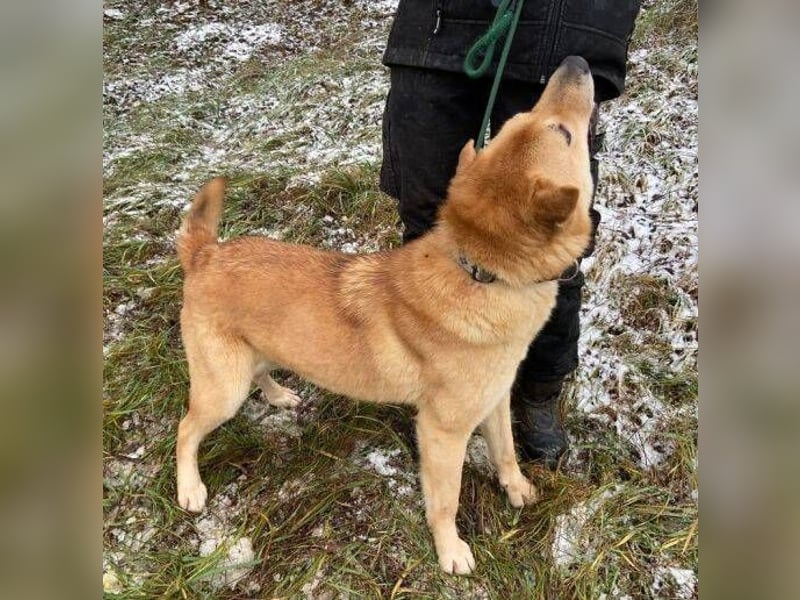 AKIM wartet auf Dich AKIM wartet auf Dich