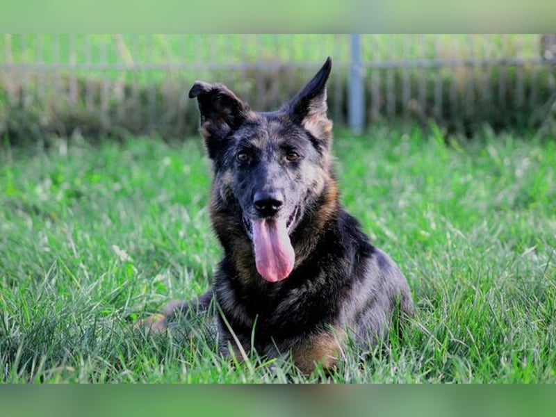 Donna, schön und sehr lieb