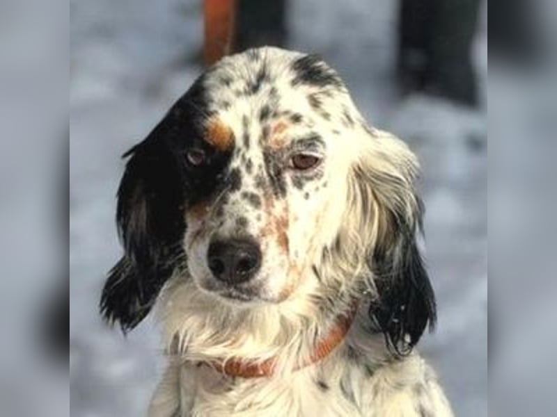 ZEYNA bildschön und sehr lieb