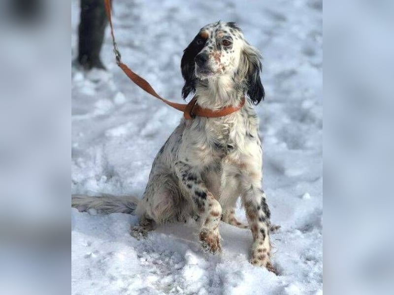 ZEYNA bildschön und sehr lieb