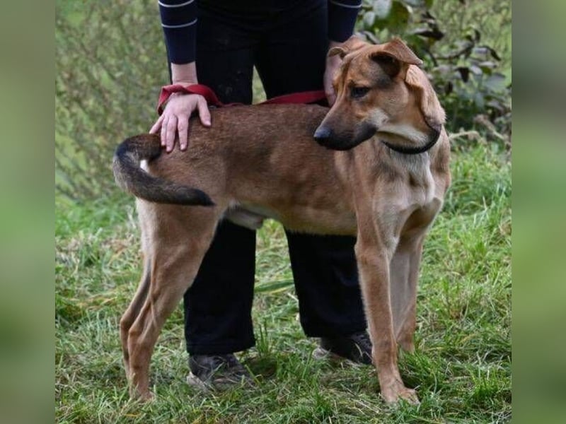 DONATELLO elegant und super freundlich