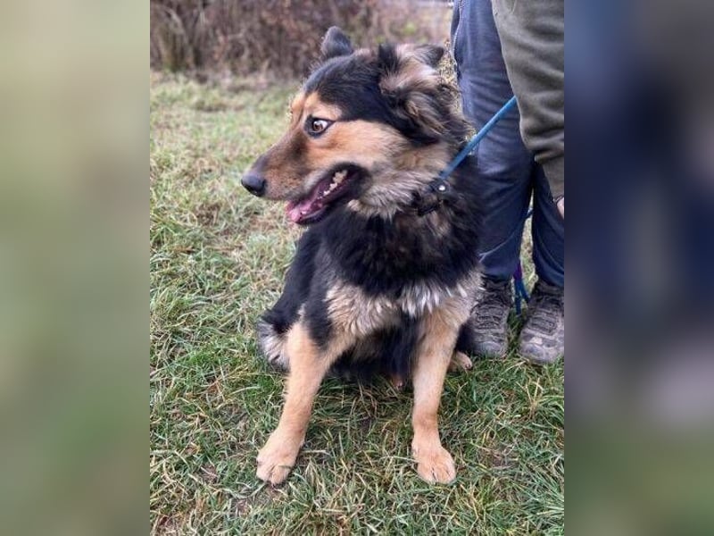 ELZA sucht ihre Familie