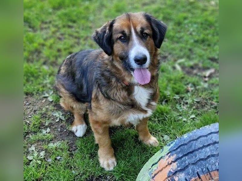 MISCHKA sucht Liebe