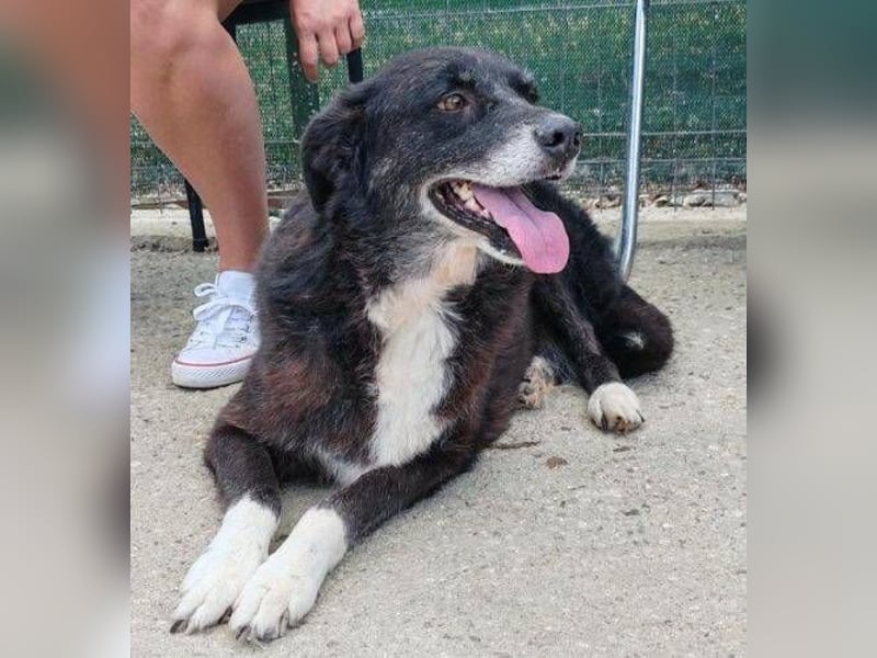 SCARLET sehnt sich so nach Liebe