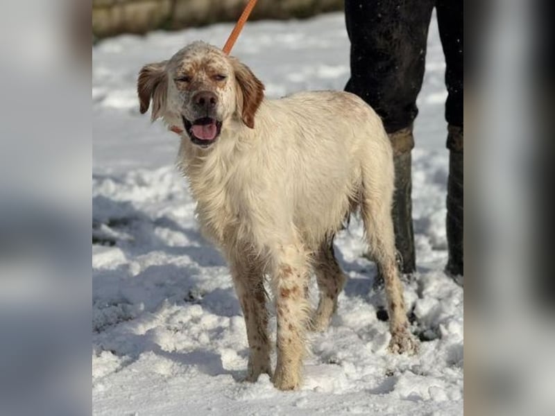 MARK  bildschön, und zu allen sehr lieb