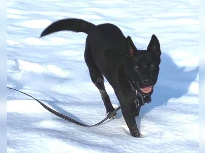 DANTE liebt Menschen