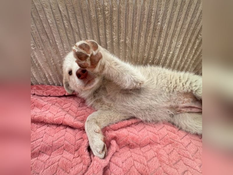 Lulu - besondere Lady sucht dich!