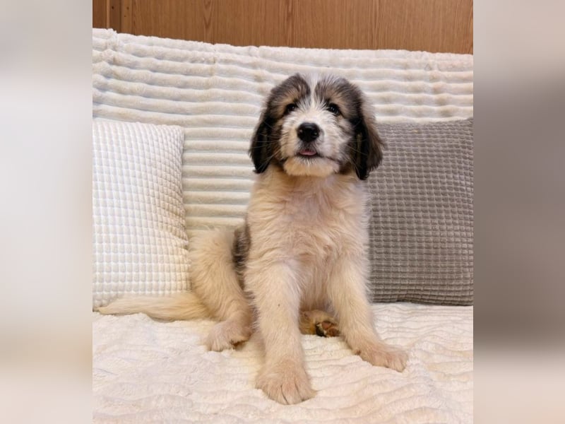 Rike - zuckersüßes Mädchen sucht dich!