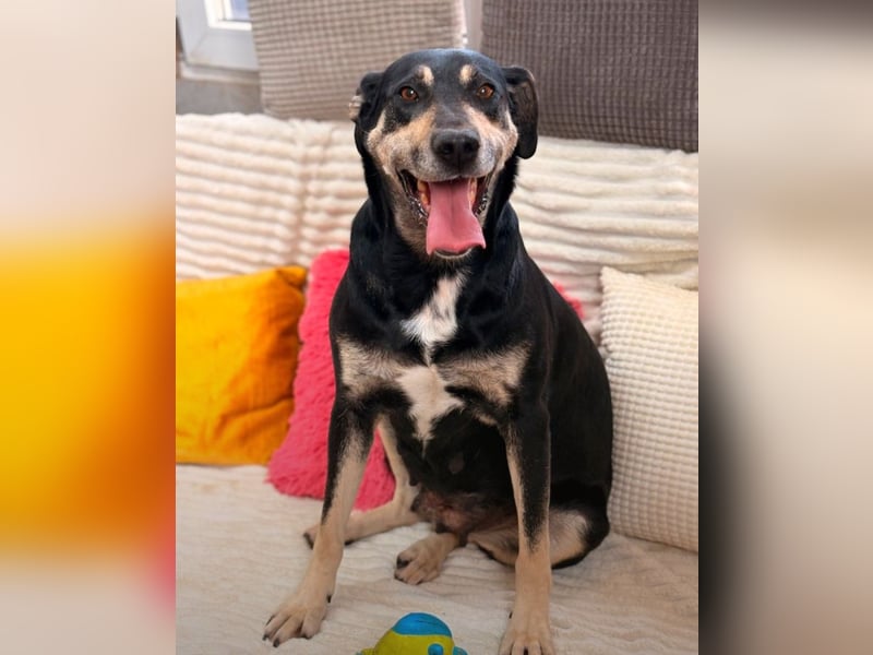 Maggie - wer gibt ihr eine Chance?