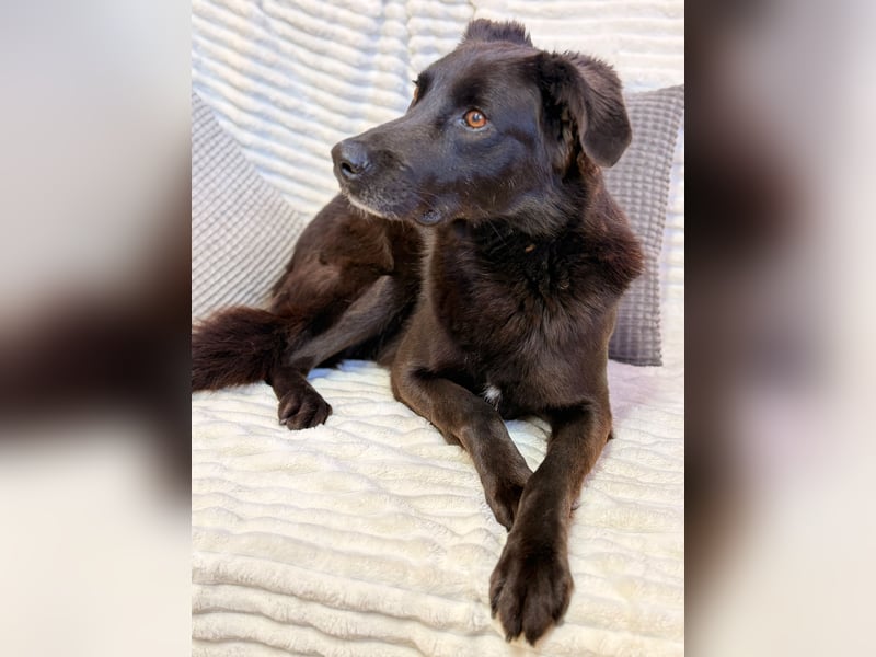 Oliver - will nicht mehr unsichtbar sein!