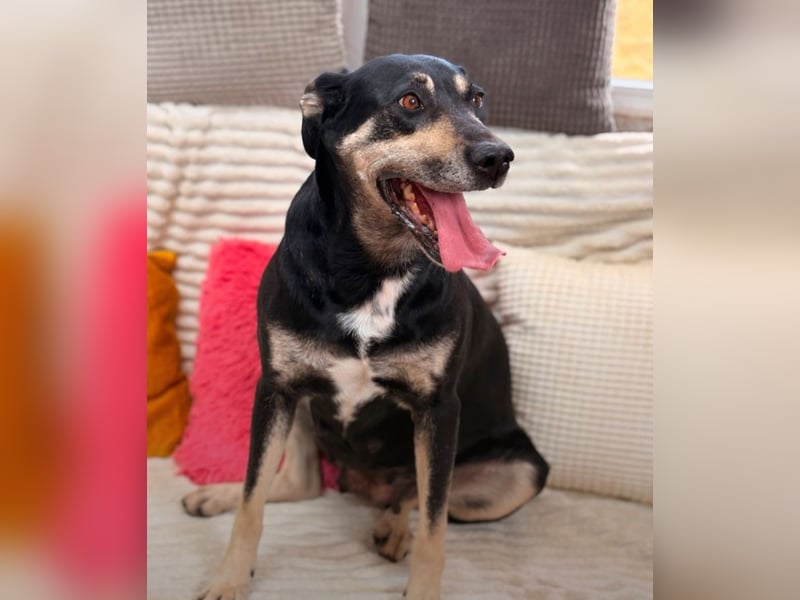 Maggie - wer gibt ihr eine Chance?