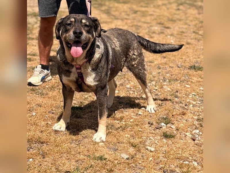 Sasha - bequeme Maus sucht dich!