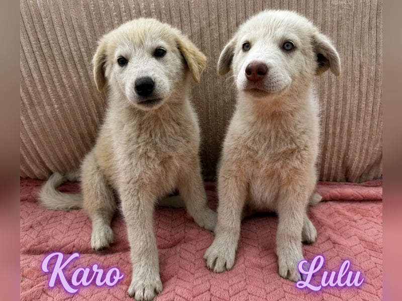 Lulu - besondere Lady sucht dich!