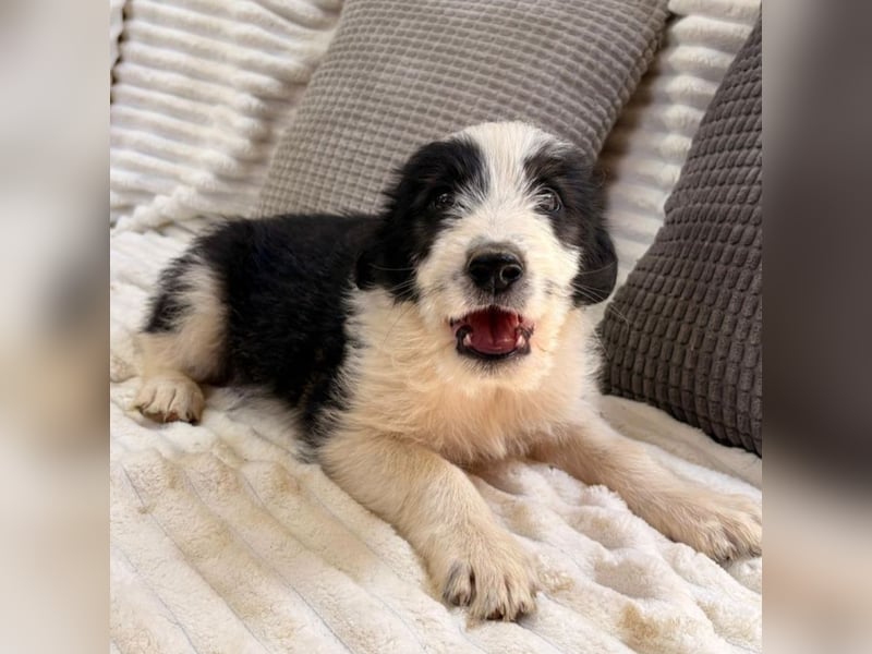 Vicky - freche Lady sucht dich!