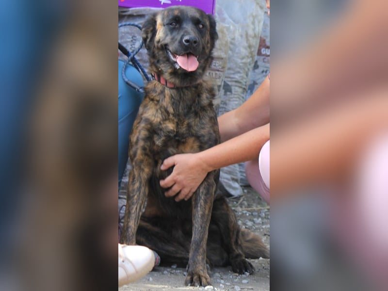 LEXI wartet sehnsüchtig auf ihre 2. Chance