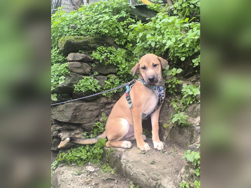 MAVERICK ist bereit für seine Familie