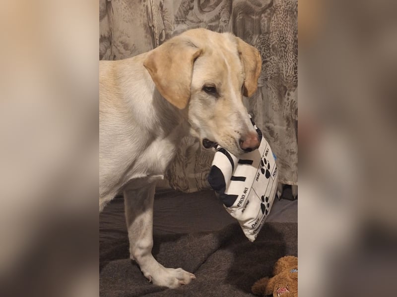 NEO wartet auf seine Familie