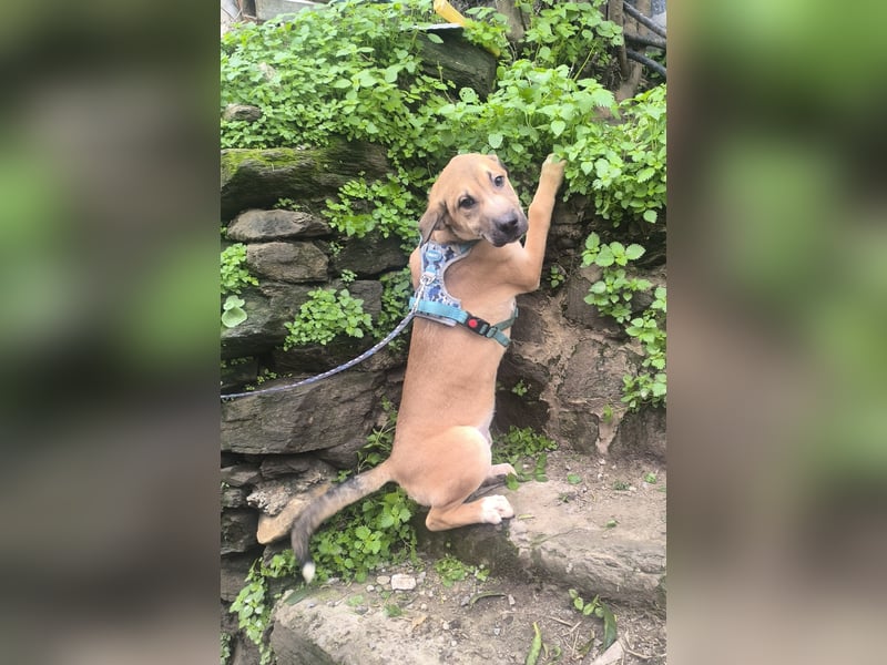 MAVERICK ist bereit für seine Familie