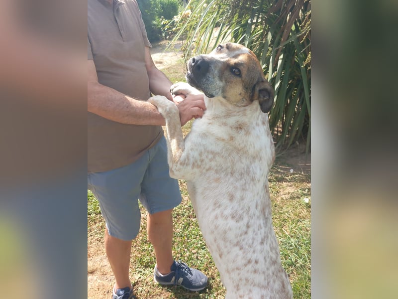 Billy such seine Paten