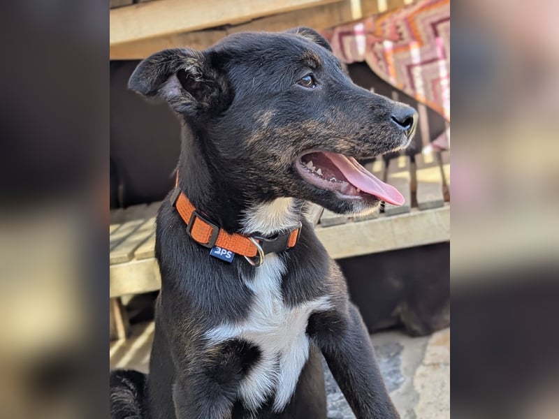 Süße MIMI möchte dein Herz erobern!