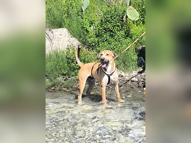MAVERICK ist bereit für seine Familie